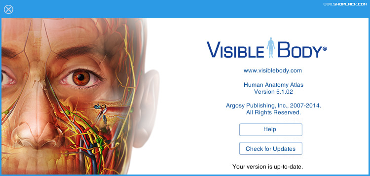 visible body 3d human anatomy atlas pc crackedinstmanks
