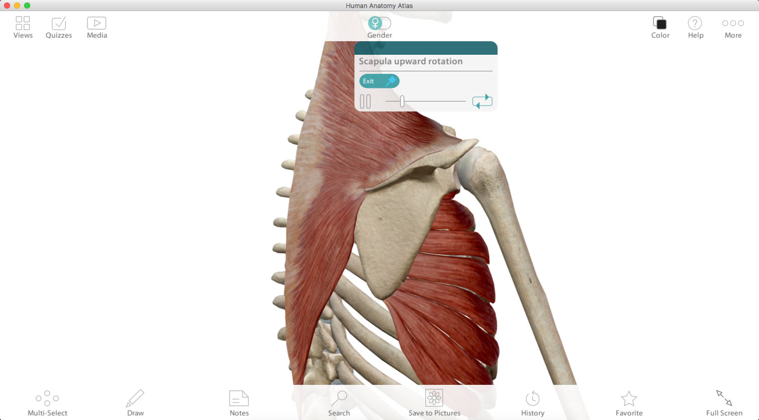 visible body 3d human anatomy atlas for windows crack torrent