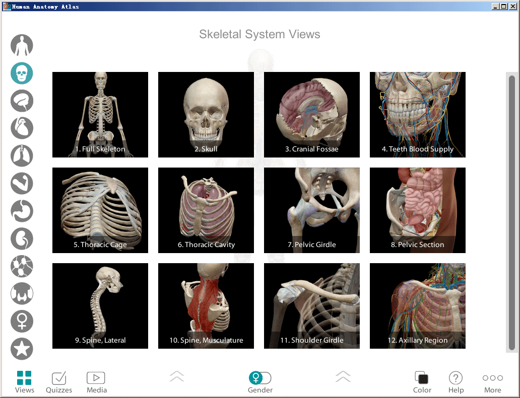 visible body human anatomy atlas for pc